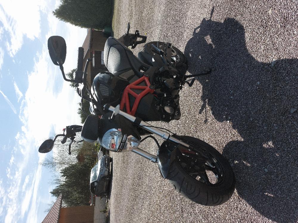 Motorrad verkaufen Andere Romet pony monster 50ccm  Ankauf